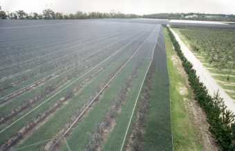 Fabrics suited to Bird Control Net