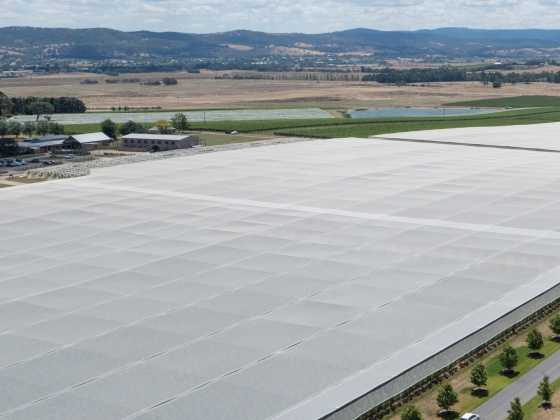 Commercial Netting