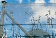 Netting Measuring Tips 1