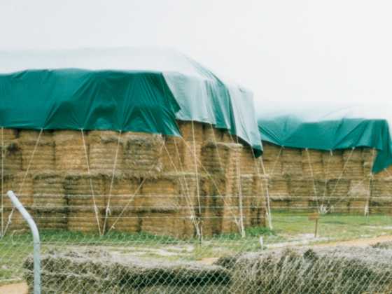 Hay Tarps
