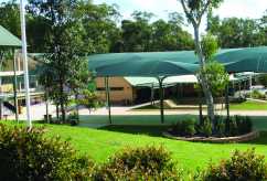 Oeko-Tex Standard 100 and Greenguard certification