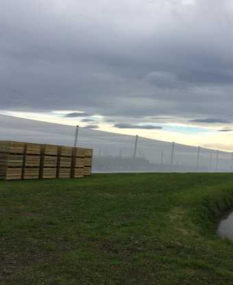 Tessuti idonei a Side Net