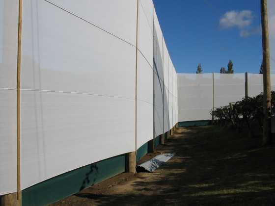 Wind Break & Protection